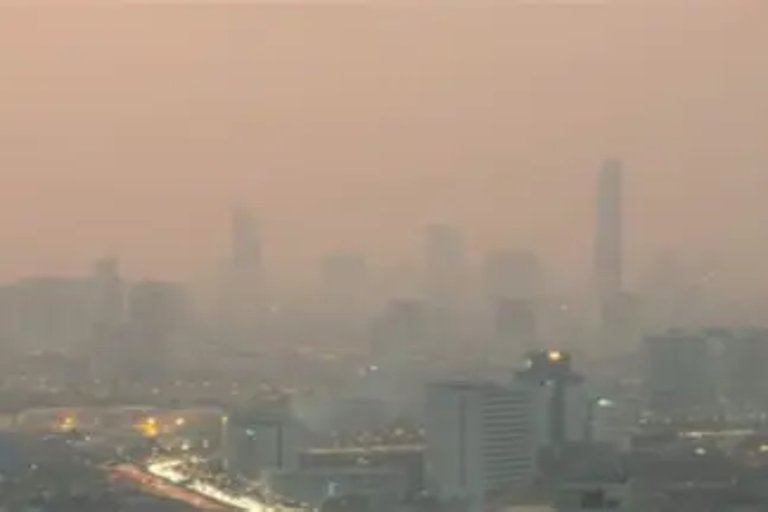 Detectan mejora en la calidad del aire tras restricciones de tráfico